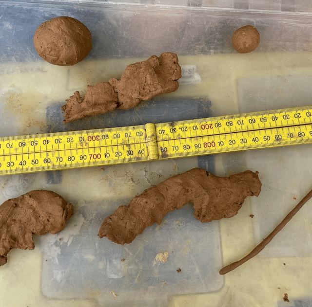 Clay Soil and Septic Effluent Dispersal